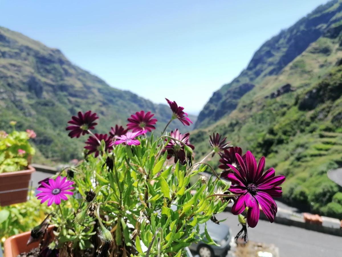Green Valley House Madeira ريبيرا برافا المظهر الخارجي الصورة