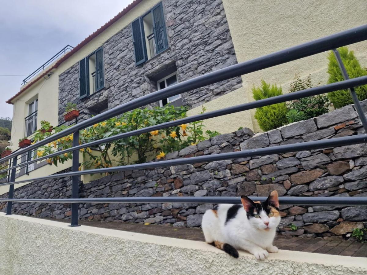 Green Valley House Madeira ريبيرا برافا المظهر الخارجي الصورة
